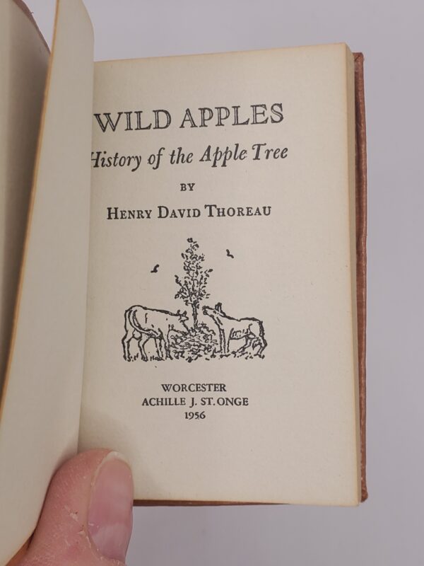 Wild Apples, History of the Apple Tree - Image 2