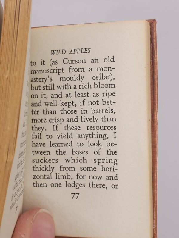 Wild Apples, History of the Apple Tree - Image 3