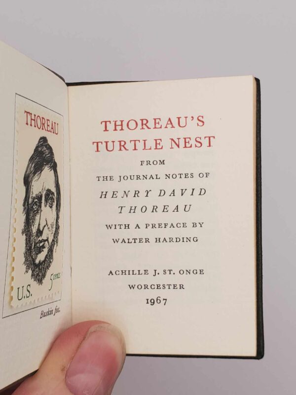 Thoreau's Turtle Nest - Image 2