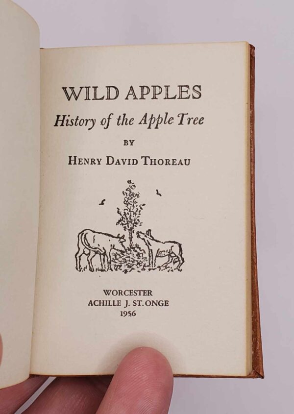 Wild Apples, History of the Apple Tree - Image 2