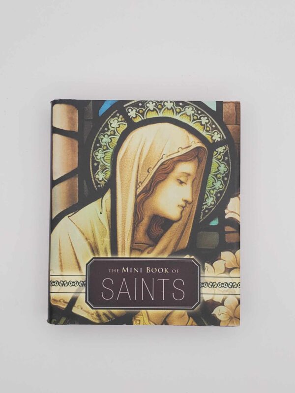 The Mini Book of Saints