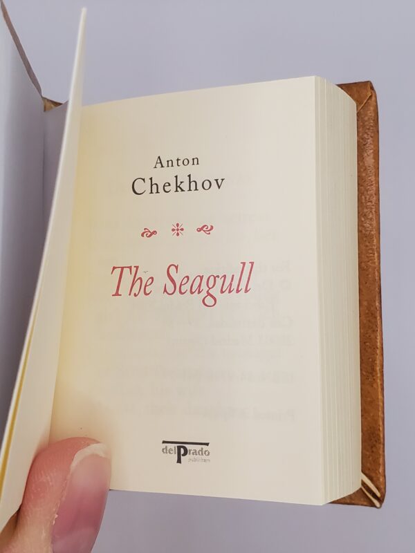 The Seagull - Image 2