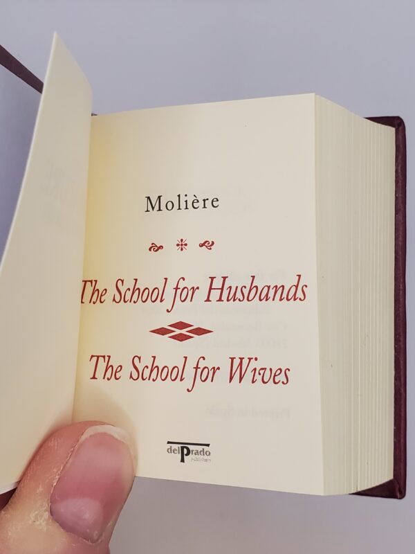 The School for Husbands / The School for Wives - Image 2