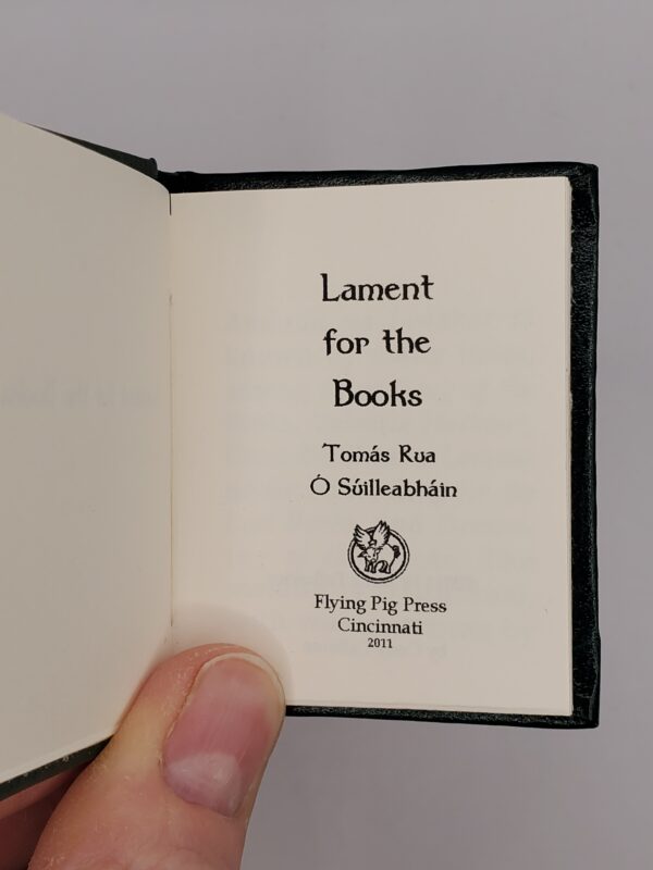 Lament for the Books - Image 2