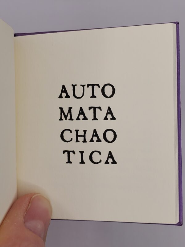 Automatachaotica - Image 2