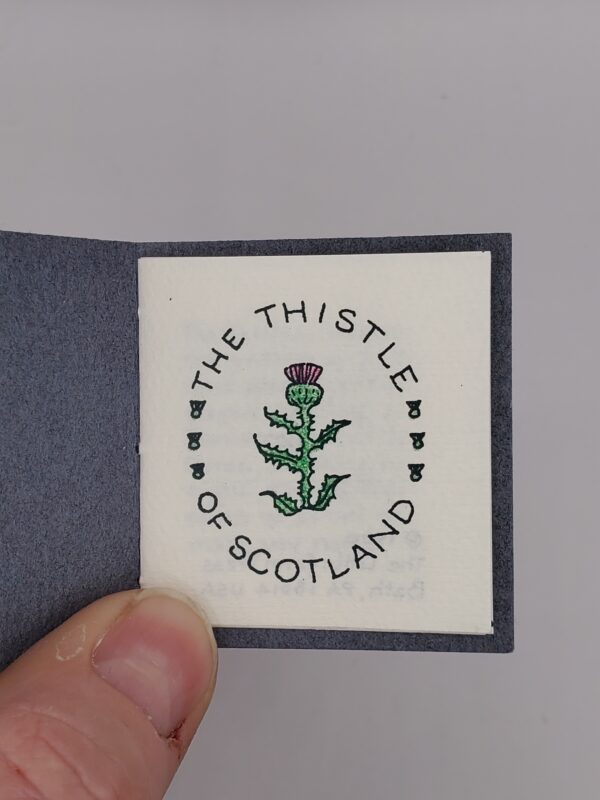 The Thistle of Scotland - Image 2