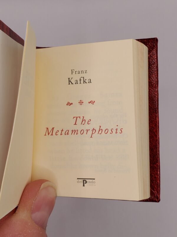 The Metamorphosis - Image 2