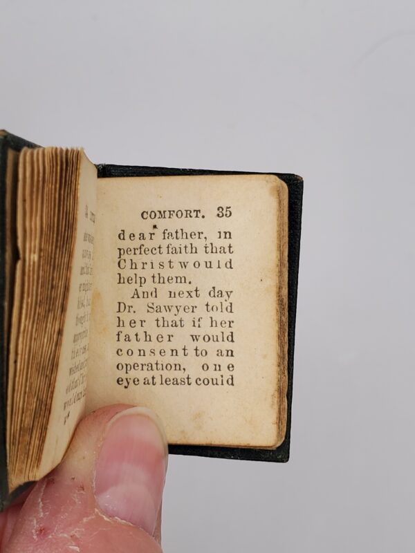 Little Comfort - Image 3