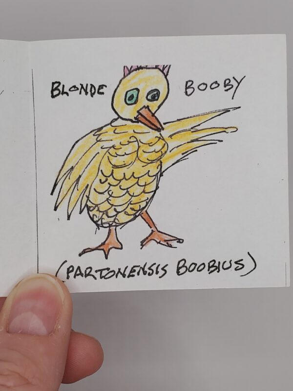 Not in Audubon - Image 2