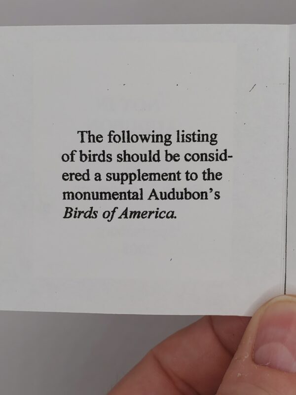 Not in Audubon - Image 3