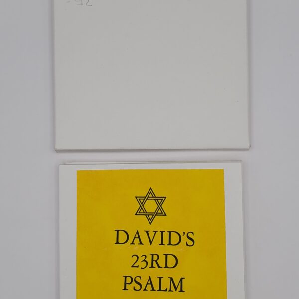 David's 23 rd Psalm