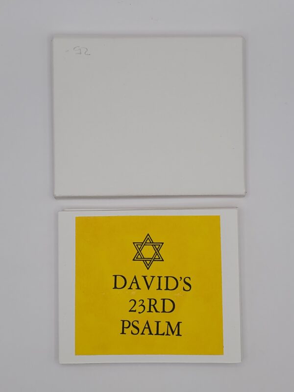David's 23 rd Psalm