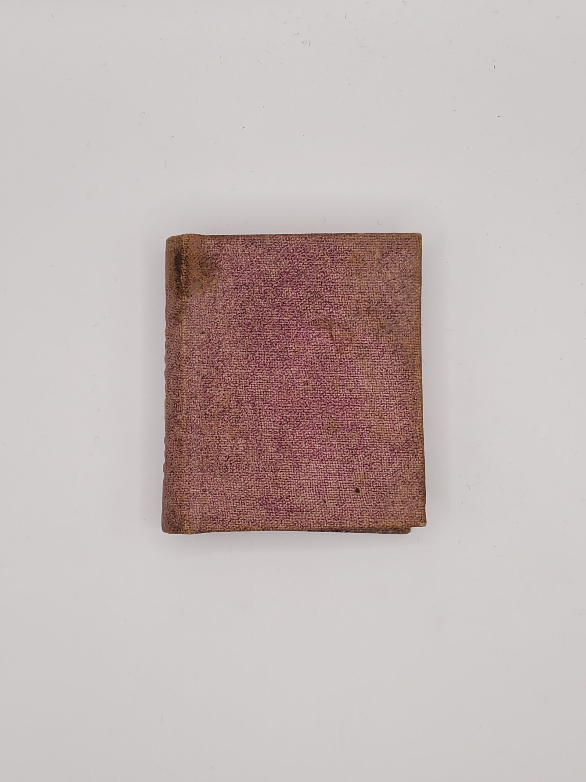 Child's Bible with Plates. By a Lady of Cincinnati