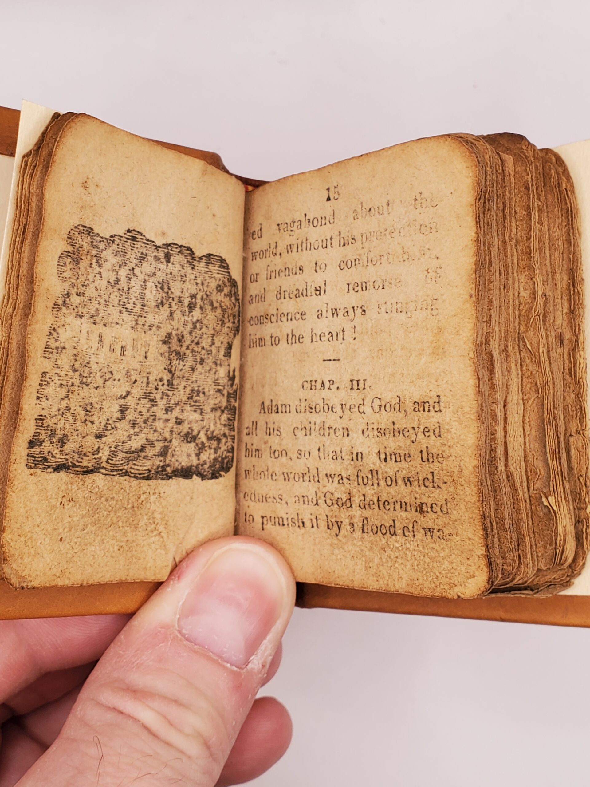 A Short History of the Bible and Testament - Image 3