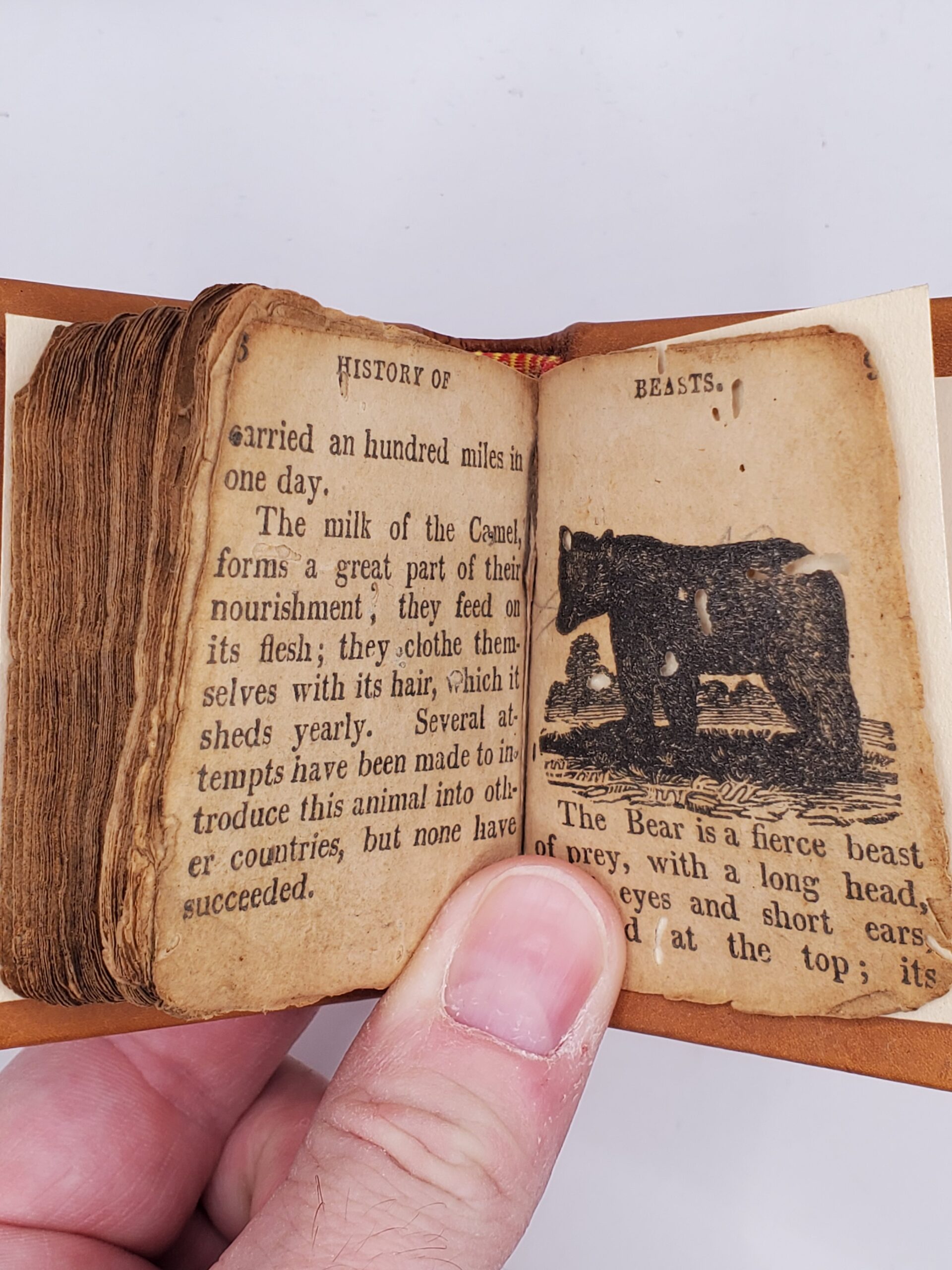 A Short History of the Bible and Testament - Image 5