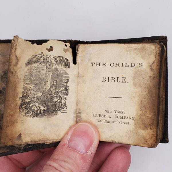 The Child's Bible