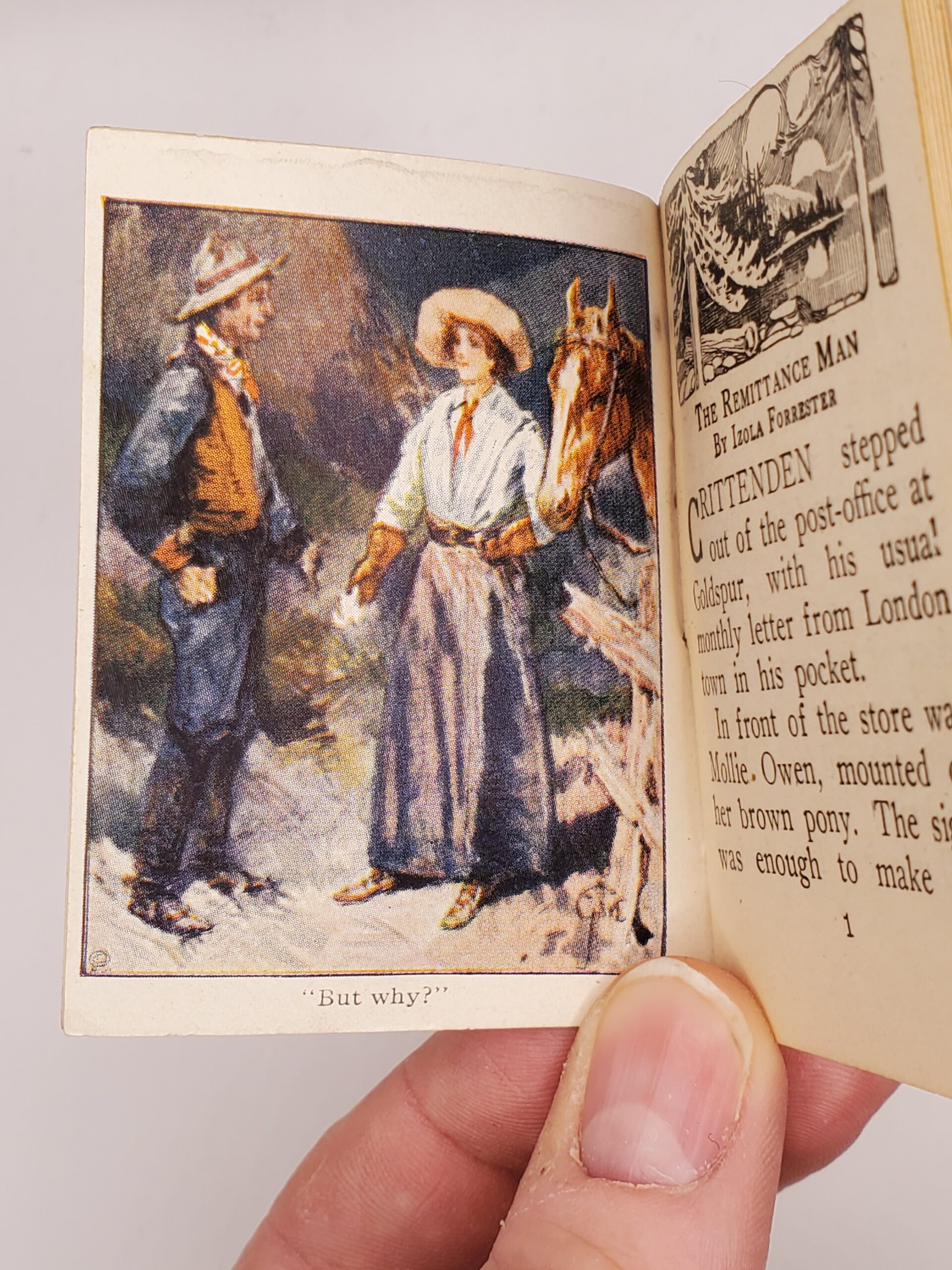 The Remittance Man - Image 3