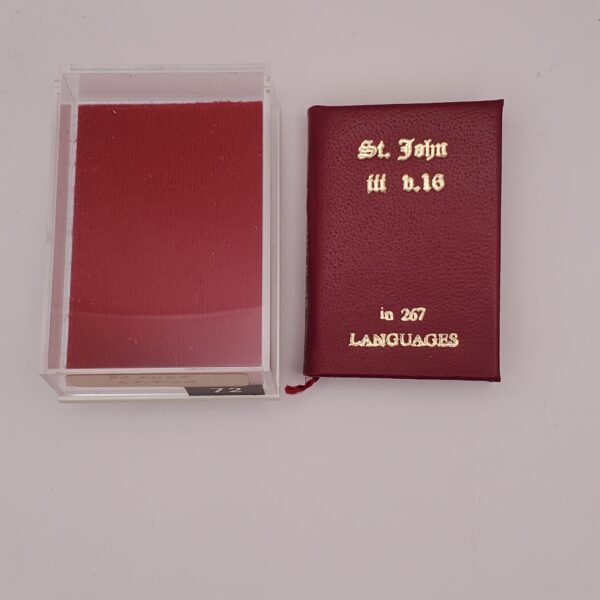 St. John III v. 16 in 267 Languages